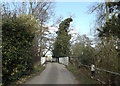 TM2281 : Mill Lane, Needham by Geographer