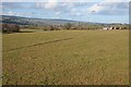 SO1635 : Farmland north of Talgarth by Philip Halling