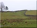 Field and walls near the Luham Farm