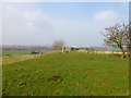 Stile near Daresbury Park