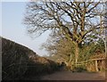 Farm track, north of Broomland Hill