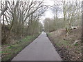 On the Daisyfield Greenway