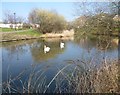 Canal at Thamesmead West