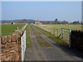 Driveway to farm at Town Head, Cliburn