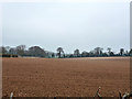 Field north of Fullerton Road