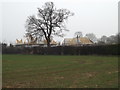 TM2472 : New Housing Development off the B1118 Wilby Road by Geographer