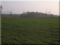 Farmland with Felixstowe docks in the background