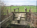 Footbridge on path from Newgate Road