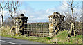 Field gate near Knockagh - March 2015(2)