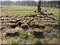 Random blocks of stone from Hulton Abbey remains