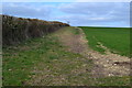 Field edge near Rockbourne