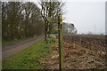 Fingerpost at Pocklington Wood