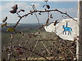 ST8411 : Hanford: bridleway sign on Hambledon Hill by Chris Downer