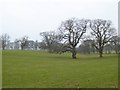 NY6132 : Parkland at Skirwith Abbey by Oliver Dixon