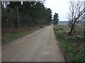 Bridleway beside Center Parcs Holiday Village 