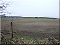 Farmland near Center Parcs Holiday Village