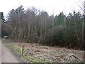 Culloden Plantation, Sherwood Forest