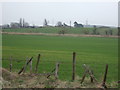 Farmland south of Ollerton Road (A6075) 