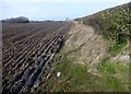 Ploughed Field