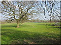 Footpath at Oldcastle Heath