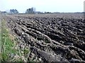 Ploughed Field