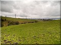 Farmland South of Farrington Road Industrial Estate