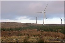 NS5745 : Whitelee Forest by Richard Webb