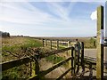 Bridleway Towards Goose Dub Farm