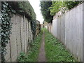 Footpath to North Lane