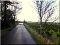 Comber Road, Ballynamullan