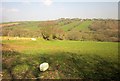 Towards the Caudworthy Water valley