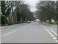 Middleton Avenue - viewed from Denton Road