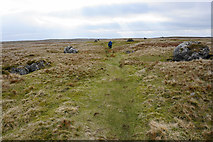 SD7176 : Path on Rantree Moss by Bill Boaden