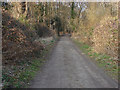 TQ0758 : Hatch Lane, Wisley Common by Alan Hunt