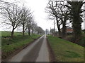 TM2584 : Church Lane, Redenhall by Geographer
