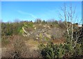 Old Quarry on Plump Hill