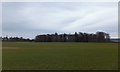 Farmland near Roskill House