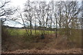 Rough grassland and trees by the railway