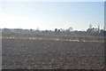 TF0906 : Farmland near Bainton by N Chadwick