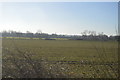 TF1006 : Farmland south of the railway line by N Chadwick