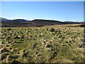 Rough grazing near Muckerach