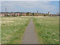 SU8346 : Bishop's Meadows, Farnham by Alan Hunt