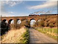 SD8110 : East Lancs Railway Viaduct, River Roch by David Dixon