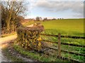 Path towards Sprout Bank Farm