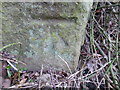 Cut Mark Gatepost Joan Lane Bamford