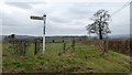 ST0321 : Signpost and field at Thorne Cross by David Smith