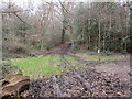 Permissive bridleway in Sevenoaks Common