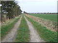 Farm track, Scupholme