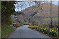 SH9018 : A daffodil welcome to Llanymawddwy by Nigel Brown