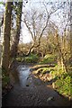 Stream Near Great Myles